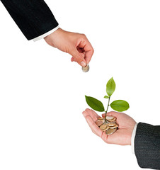 Palm with a tree growng from pile of coins
