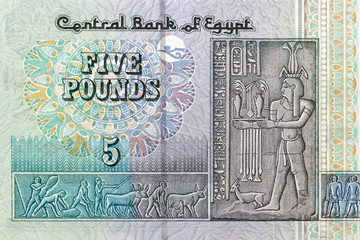 5 pound bill of Egypt