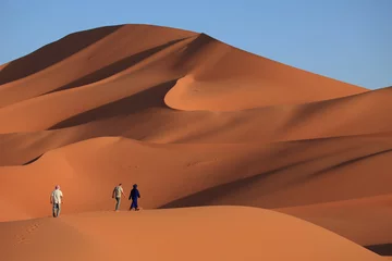 Deurstickers Die Sahara © hecke71