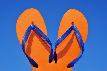 flip-flops