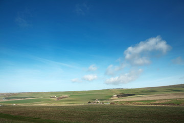 Naklejka premium landscape