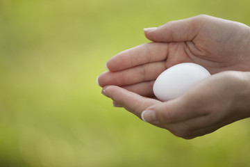 Protecting the Egg