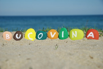 Obraz premium Bucovina, region of Romania painted on pebbles