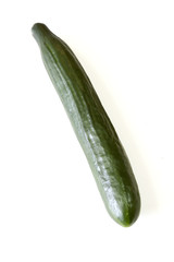 pepino ecologico maduro