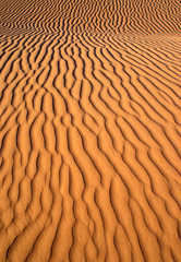 Texture background of ripples in the sand of Sahara desert.