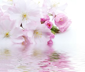 pink flower - 40262056