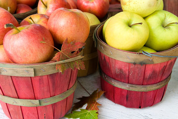 Autumn apples with leaves