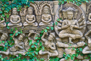 Vine on buddha statue wall