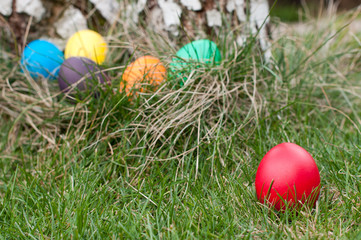 Easter eggs in nest