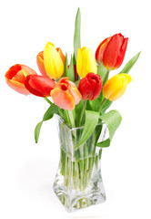 Red-yellow tulips isolated on white
