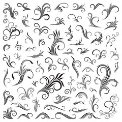 Floral patterns and elements