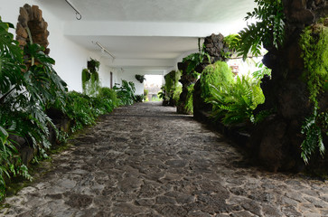 Tropical plants in Lanzarote's building corridor