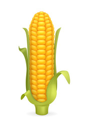 Obraz premium Corn