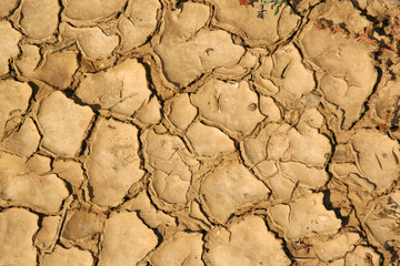 Cracked ground