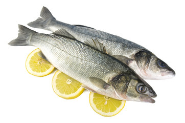 Two sea bass