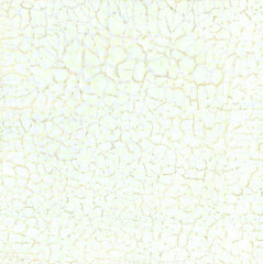 Fototapeta premium Cracked background