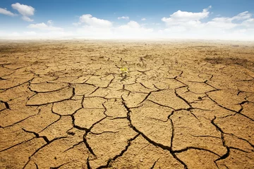 Fototapeten Dryed land with cracked ground. Desert © Sunny Forest