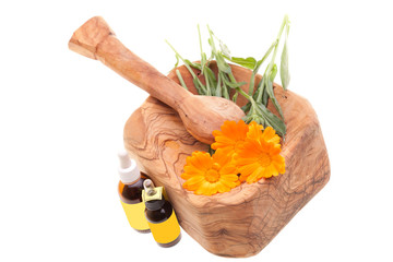 Homeopathic Treatments - Calendula Officinalis