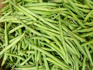 French beans at the greengrocer on the market place