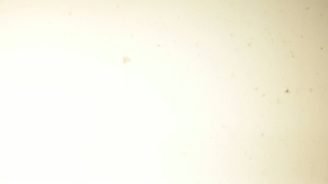 alter film hintergrund