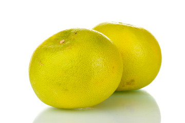 two green grapefruits isolated on white