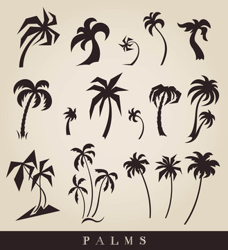 vector silhouettes of palm trees