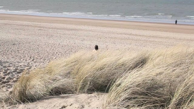 Couple pleins d'&eacute;motion sur la plage