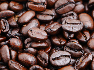 coffee bean closeup