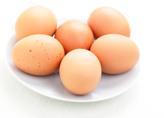 fresh eggs