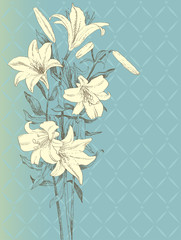 Lily flower - obrazy, fototapety, plakaty