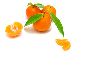 tangerines on a branch on white