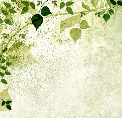 Vintage leaves and nature background