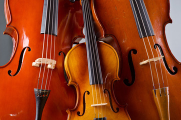 Fototapeta premium Music Cello in the dark room