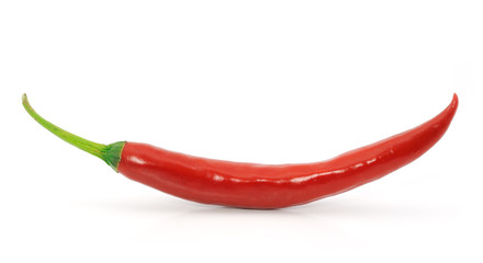 red hot chili pepper isolated on a white background