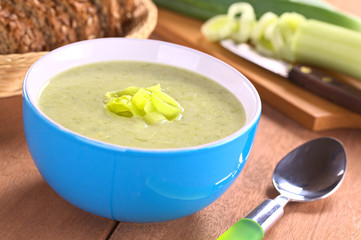 Fresh homemade leek soup