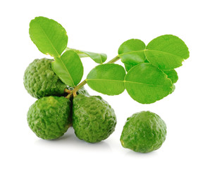 Kaffir Lime with leaves