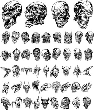 Monster skulls collection