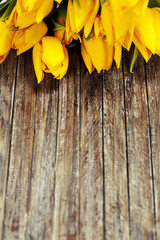 yellow tulips