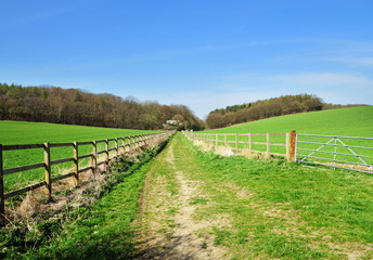 Fototapeta na wymiar Grassy Track between fields
