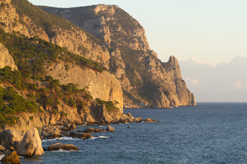 Coastline with pine trees ("Inzhir" reserve, Crimea, Ukraine)