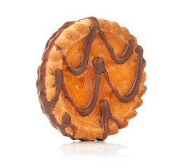 Closeup image of chocolate cookie