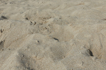 beachsand background