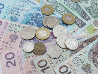 Polish zloty (PLN) currency - banknotes and coins