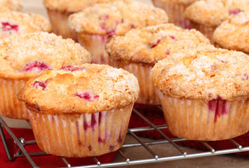 Baked Cranberry Muffins