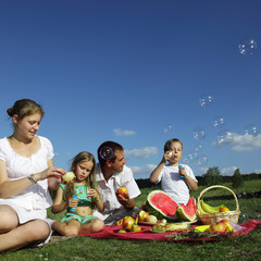 familie picnic outdoors with food