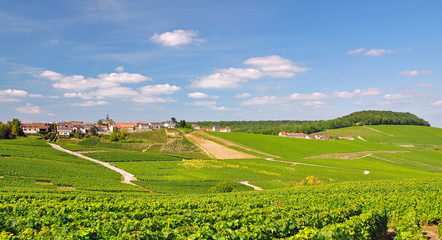 Weinort Cramant in der Champagne bei Epernay