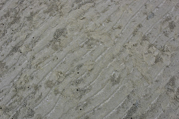 Fototapeta na wymiar Sand beach texture with crab holes