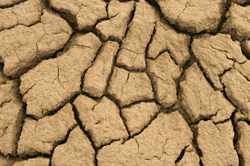 Cracked earth