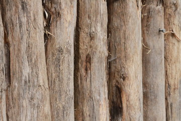 texture rondin de bois