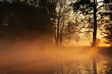 Morning dawn